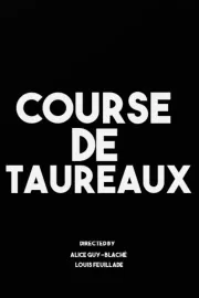 Course de taureaux