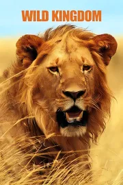 Wild Kingdom