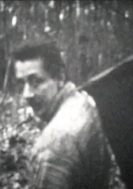 Kormányeltörésben