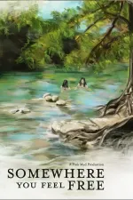 Somewhere You Feel Free