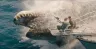 Znovuzrození Jurského světa má monstrózní měřítko. Mrazivý trailer zaručuje tuhý boj o přežití