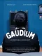 GAUDIUM