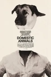 Domestic Animals