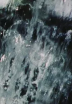 Pluie de roses (à Rose Lowder)