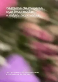 Destellos de las mujeres que incomodan y están incómodas