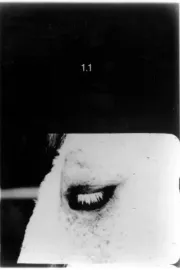 Taschenkino - Der Katalog