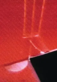 Little Red Riding Hood