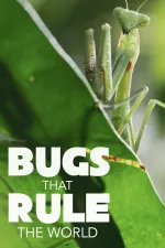 Bugs That Rule the World