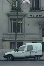 Nous sommes tous des cafards