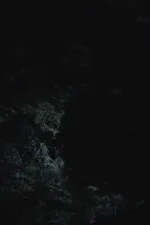 All the planets in my heart