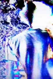 prólogo para uma adaptação em vídeo do poema "três poesias" de tom k.