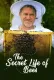 The Secret Life of Bees