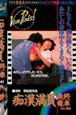 Chikan saishû densha