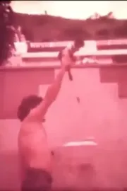 Quem Quiser Fazer Que Faça Agora