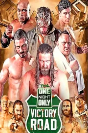 TNA One Night Only: Victory Road 2014