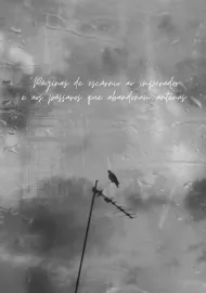 Páginas de escárnio ao imperador e aos pássaros que abandonam antenas