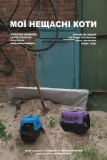 Мої нещасні коти