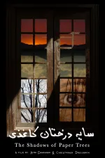 The Shadows of Paper Trees