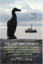 The Lost Bird Project