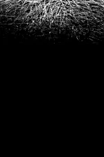 Sapagkat Sa Aking Pag-iisip, Mayroong Bigat Na Ayaw Kong Ikaw Ang Magpasan