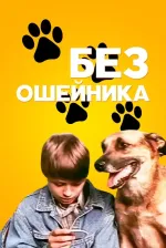 Bez osheynika