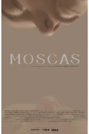 Moscas