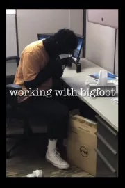 Working with Bigfoot
