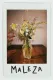 Maleza