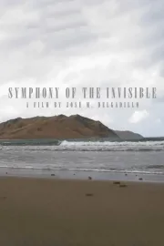 Sinfonía de lo invisible