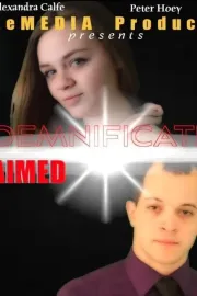 Indemnification Claimed