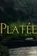 Platée