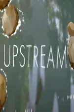 Upstream