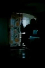 Przypadek Hermana Palacza