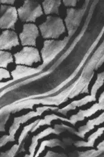 The City and Her Stones