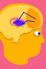 Dopamin: Jak aplikace klamou náš mozek