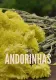 Andorinhas