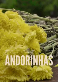 Andorinhas