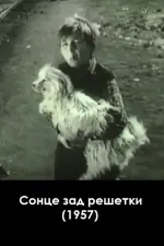 Сонце зад решетки