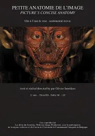 Stručná anatomie obrazu