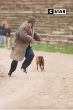 Les héros du Puy du Fou - Les animaux, superstars des spectacles