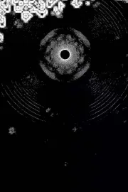 Chiasm of Lament III