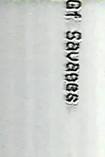 The New McLennium Program Two