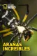 Incredible Spiders
