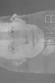 Що ти будеш робити робити, якщо війна продовжиться?