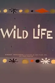 Wild Life