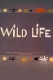 Wild Life