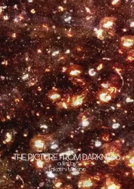 The Picture from Darkness