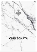 Ohio Sonata