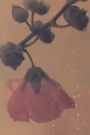 Pflanzen am kottbusser damm