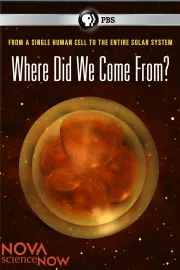 Where Did We Come From?